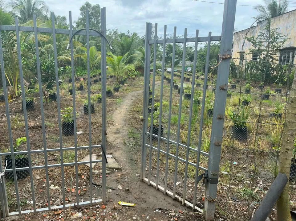 Đất vườn 4080m² tại ấp Phú Thọ, xã Trường Xuân - Tiềm năng phát triển lớn!