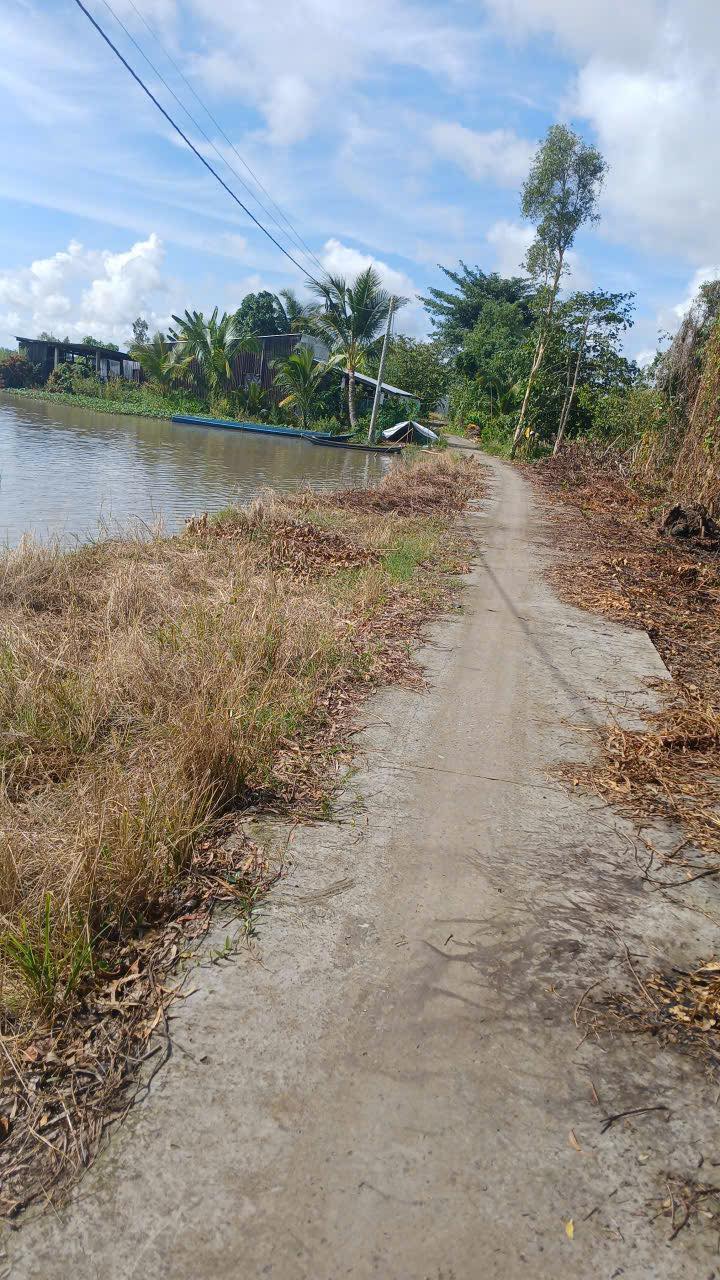 Đất nông nghiệp Trường Xuân A, Thới Lai 42.000m² - Giá chỉ 2.38 tỷ VND, thương lượng tốt!