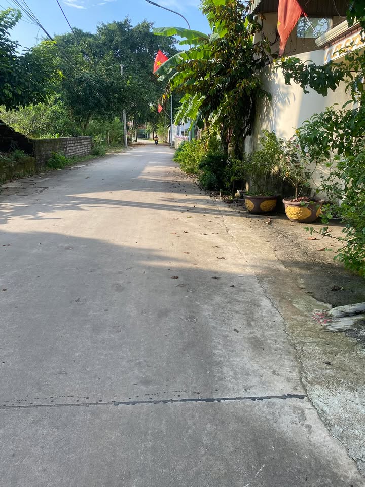 Đất thổ cư 300m² tại Sơn Đông - Sơn Tây, 700m² giá đầu tư hấp dẫn