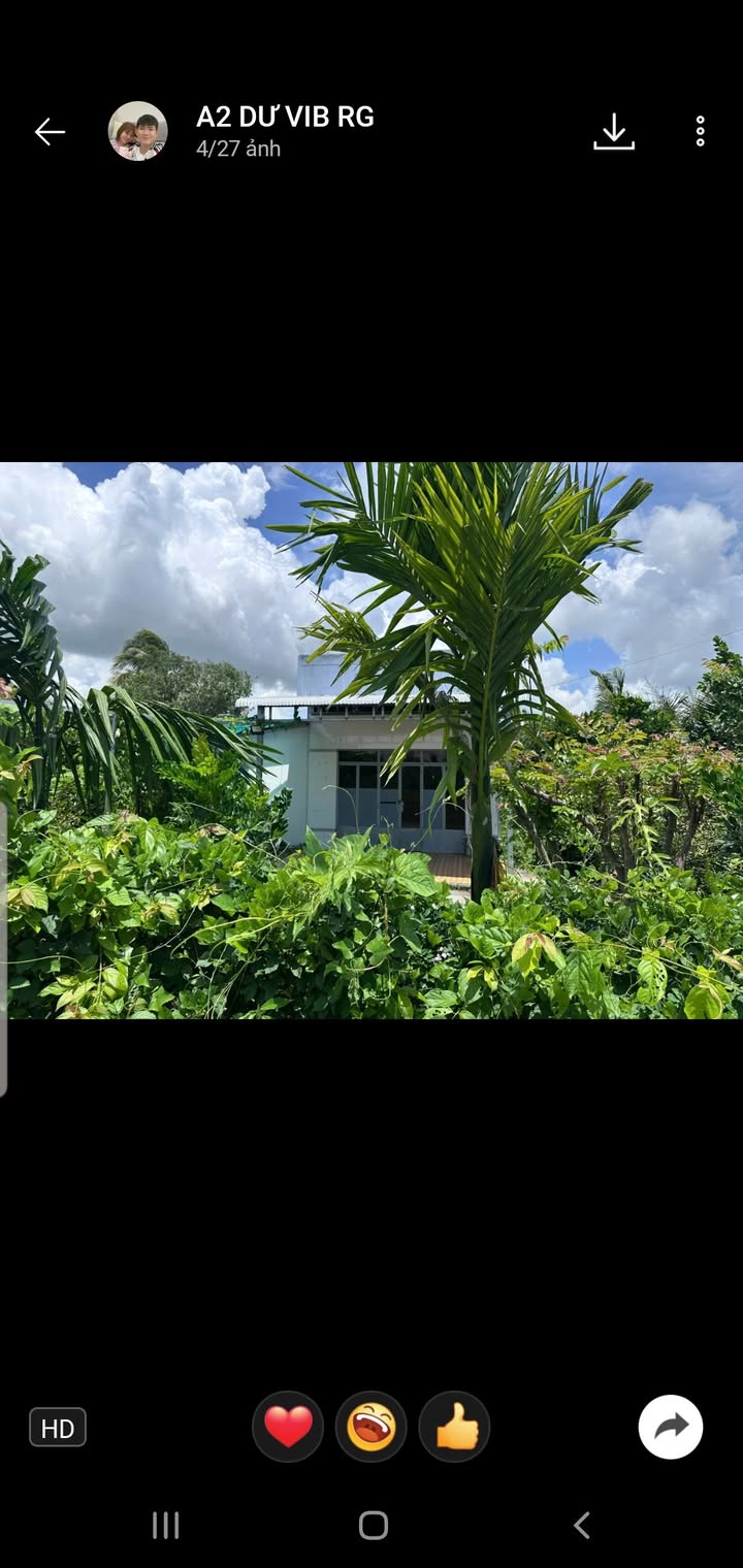 Đất mặt tiền đường bê tông Tân Hiệp B 4668m² giá 3.5 tỷ - Đầu tư sinh lời ngay!