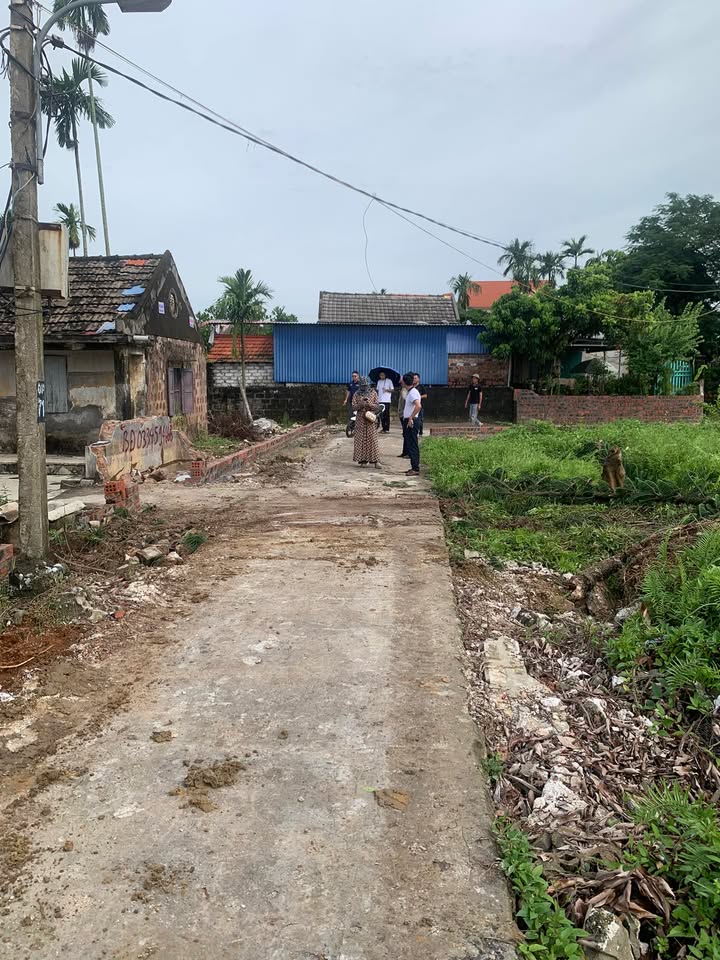 Đất nền phường Hòa Bình, Thủy Nguyên, 58m² giá 800 triệu - Sở hữu ngay lô đất đẹp!