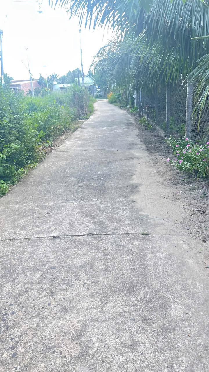 Đất nền Diên Đồng 431m² giá 733.87 triệu - Đường ô tô thông, khu dân cư sầm uất!