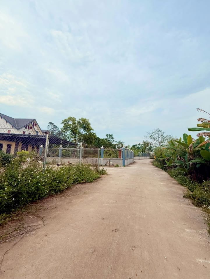 Đất nền Tân Hương Phổ Yên 80m² giá chỉ 5xx triệu - Đầu tư sinh lời ngay!