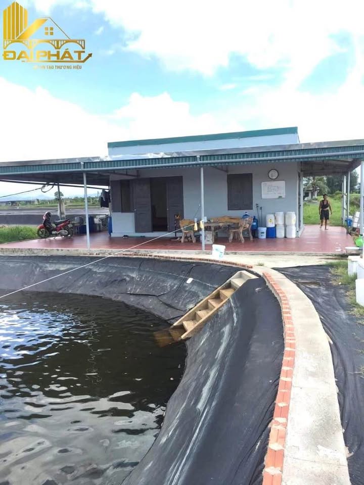 Đất nuôi trồng thủy hải sản tại Bình Ngọc, Móng Cái 24.000m² - Pháp lý rõ ràng, giá thỏa thuận!