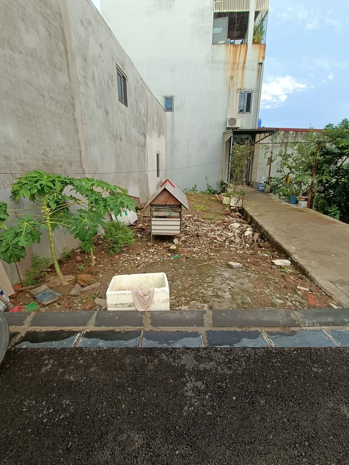 Đất nền Lê Xá, Mai Lâm, Đông Anh 46m² giá 3 tỷ - Cơ hội đầu tư hiếm có!