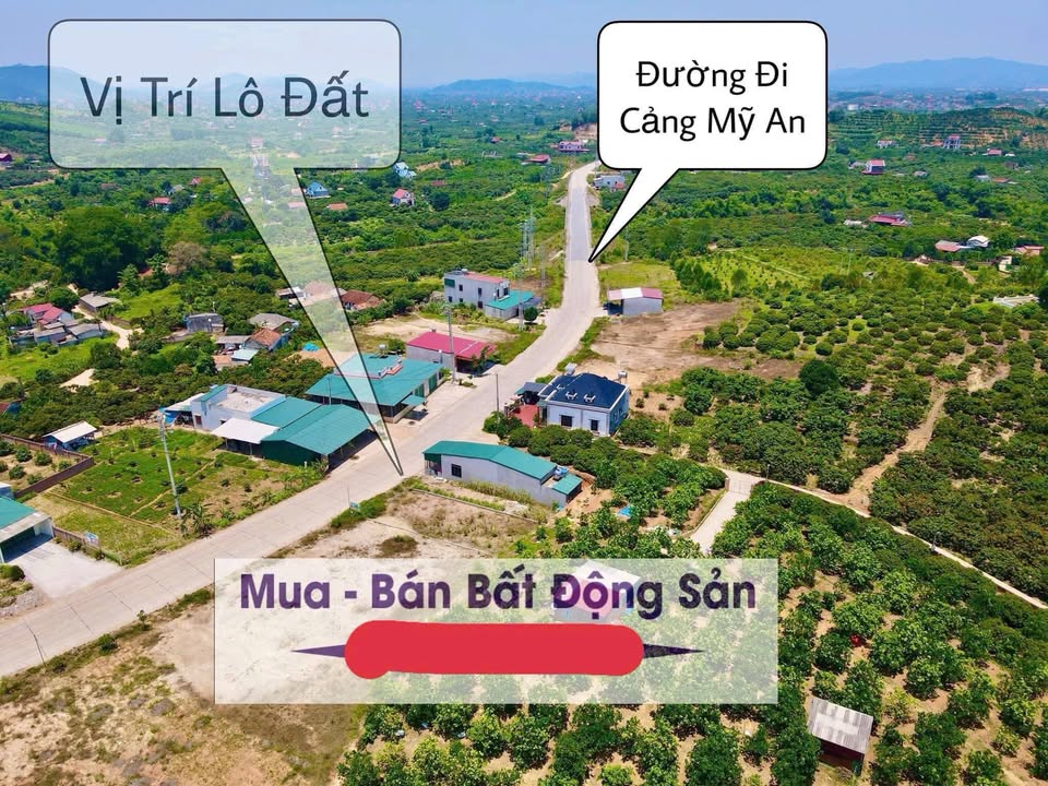 Đất thổ cư Thôn Đình Gàng, Lục Nam 10m² giá 2.7 tỷ - Sổ đỏ chính chủ