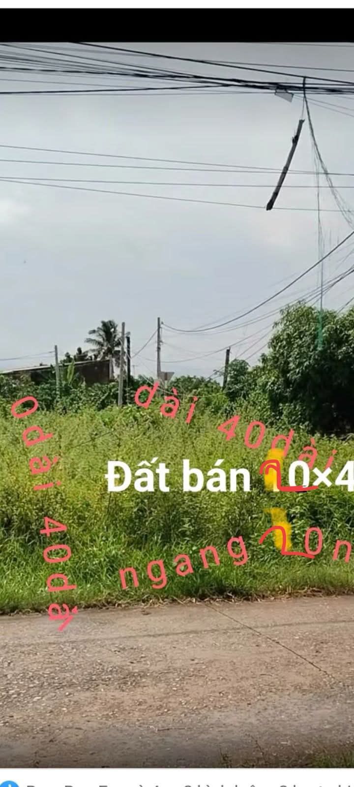 Đất nền 800m² ấp Thạnh Hưng A, Bến Tre - Giá 900 triệu, sổ hồng chính chủ!