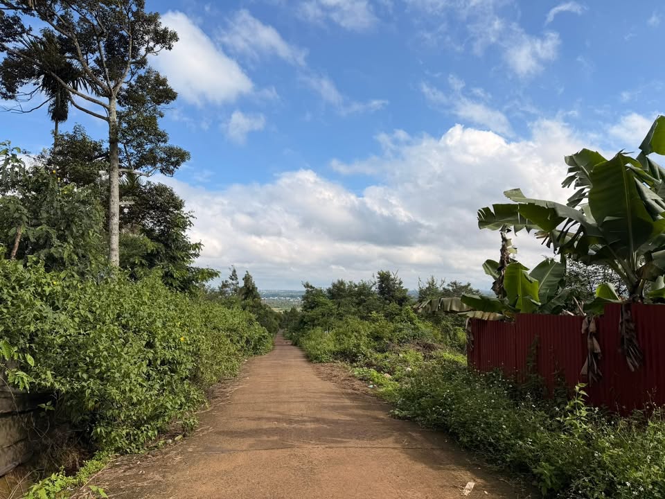 Đất thổ cư hẻm cấp 1 Komleo, Tân Lập 286m² giá 1.75 tỷ - Đầu tư sinh lời ngay!