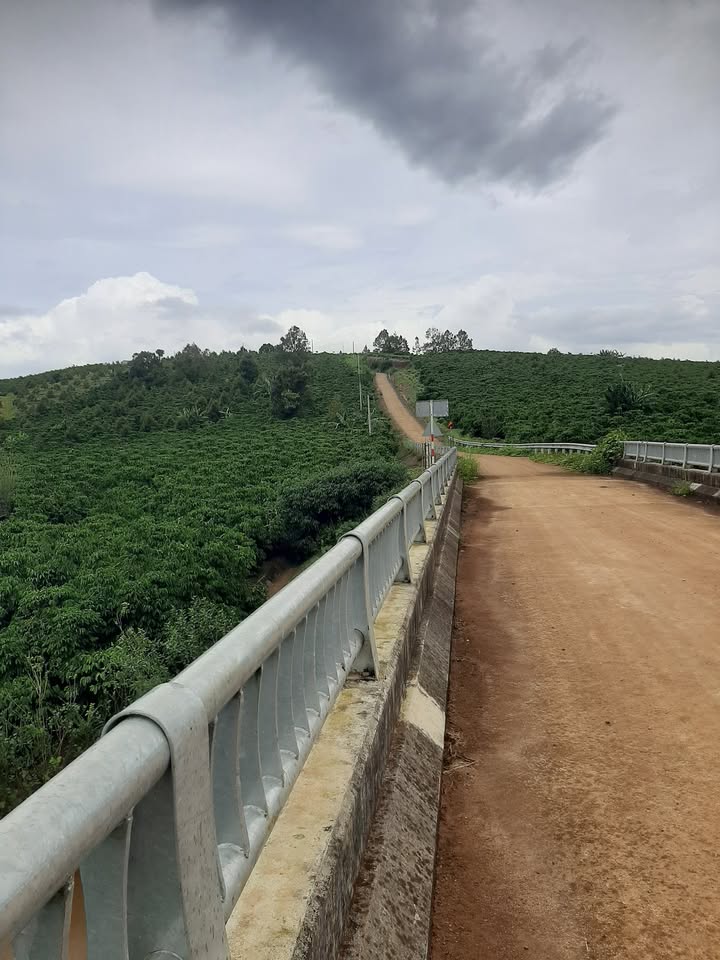 Đất nền mặt đường Đoàn Thị Điểm, Lộc An, Bảo Lâm, 1000m² - Giá chỉ 1.008 tỷ VND!