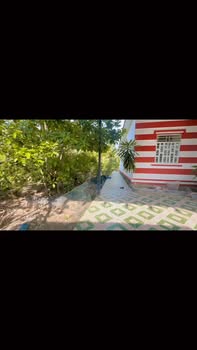 Farm 1 công 6 nhà vườn tại Phường Trung An giá 6.5 tỷ - Thương lượng mạnh tay