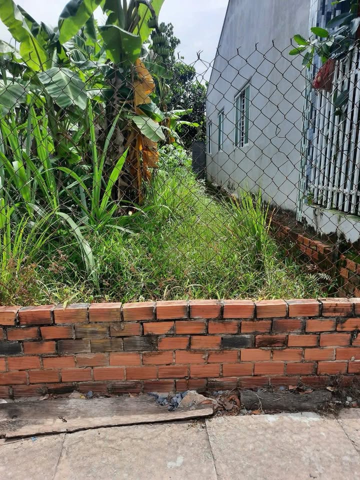 Đất thổ cư 75m² tại ấp Long Hưng, xã Phước Thạnh - Giá 680 triệu, thương lượng ngay!