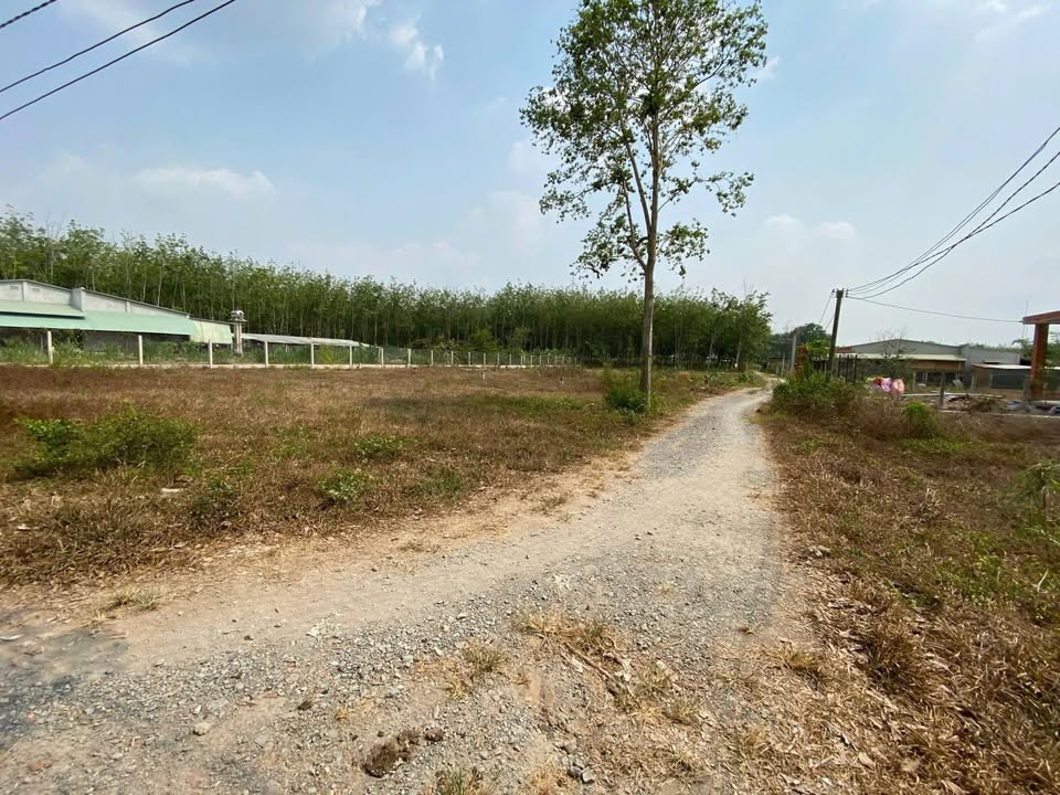 Lô đất Thạnh Đức Gò Dầu 165m² giá 550 triệu - Cơ hội vàng đầu tư!