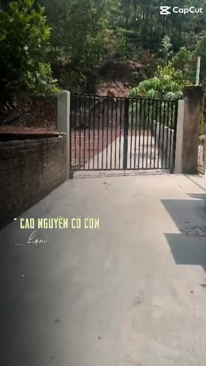 Đất thổ cư Vân Trung 100m² giá 1 tỷ - Đầu tư sinh lời ngay!