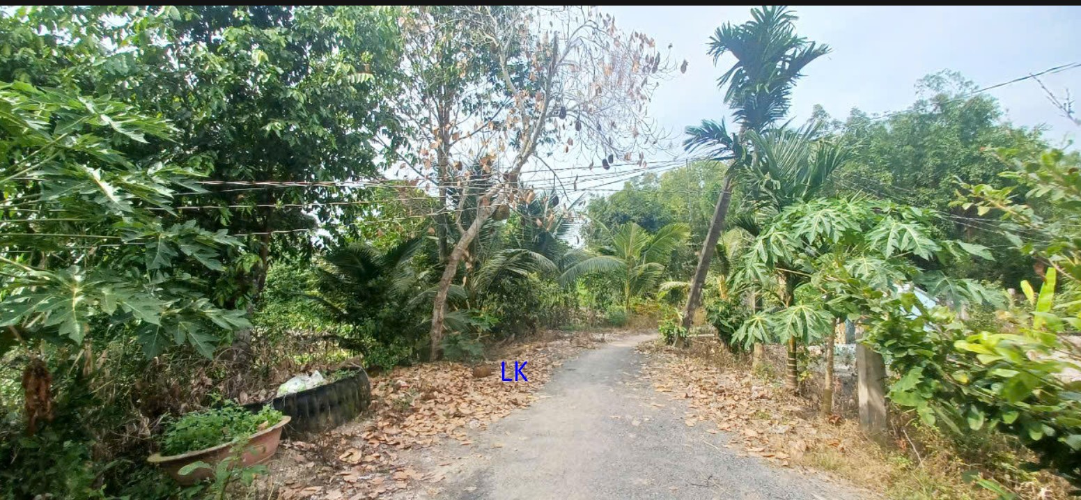 Đất nền 185m² tại Mỹ Trà, Cao Lãnh - Giá chỉ 390 triệu/sổ đỏ