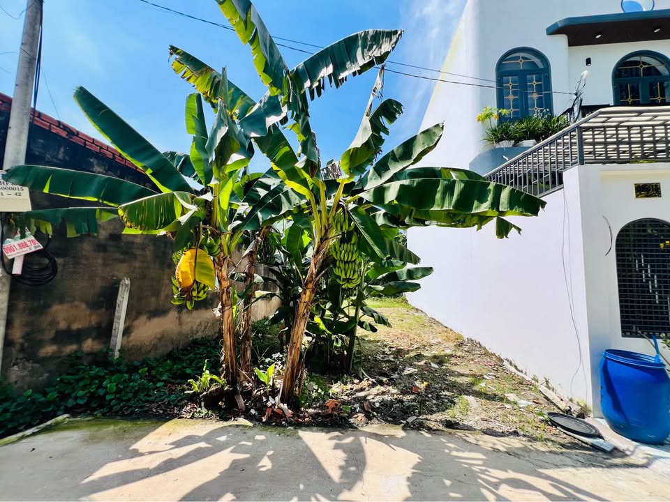 Đất thổ cư Tân An Hội, Củ Chi 102m² giá 1 tỷ - Vị trí mặt tiền đắc địa!