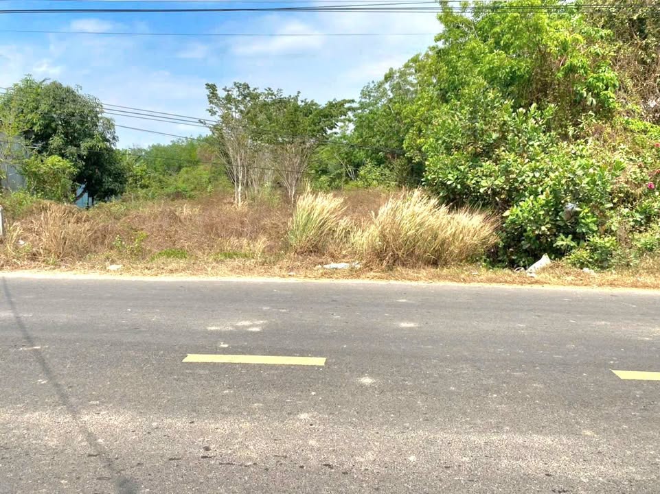 Đất nền mặt tiền đường Phước Vinh, Tây Ninh 2560m² giá 1.3 tỷ - Cơ hội đầu tư tuyệt vời!