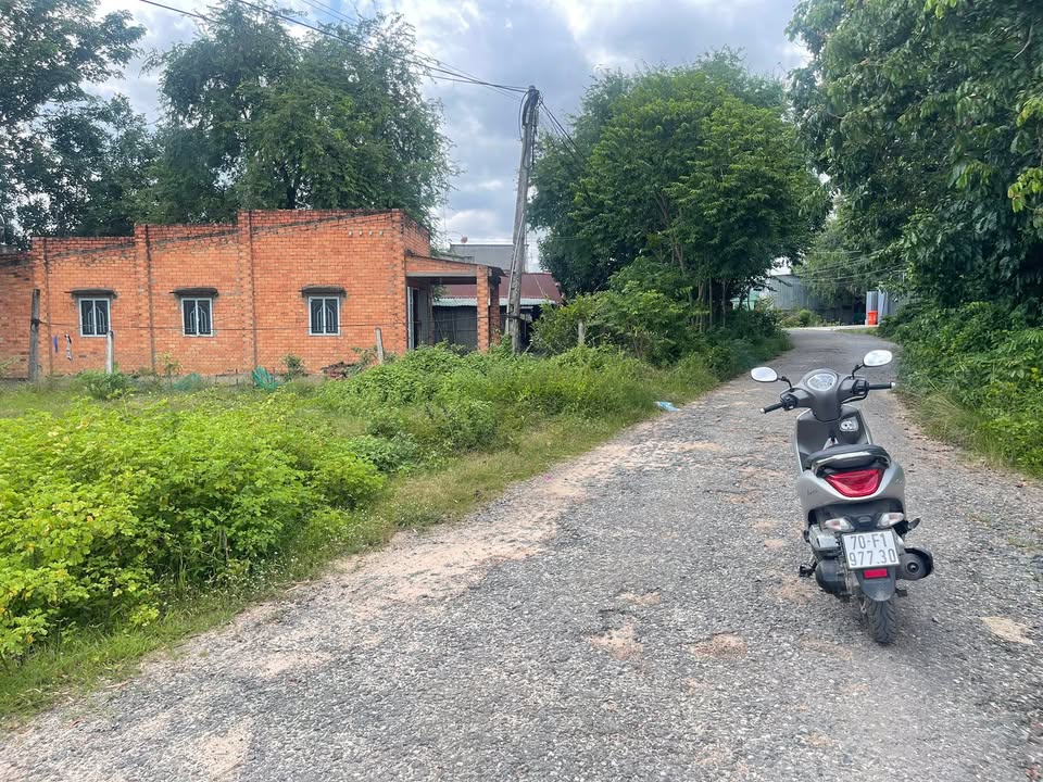 Đất nền Phước Thạnh, Gò Dầu 270m² giá 900 triệu - Đầu tư sinh lời ngay!