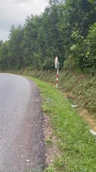 Đất trang trại 60 sào mặt tiền đường tỉnh lộ 624 - Giá chỉ 1.2 tỷ