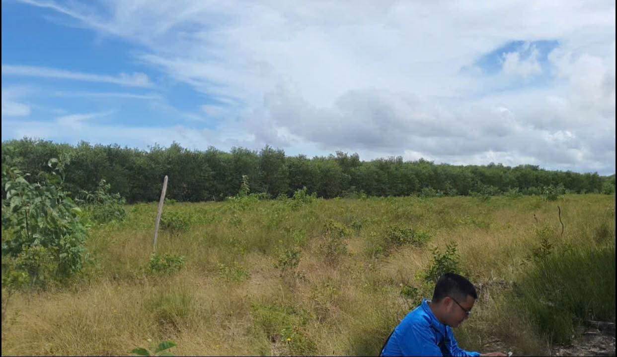 Đất Farm Phong Hiền, Phong Điền 10.000m² giá 200 triệu - Đầu tư sinh lời ngay!