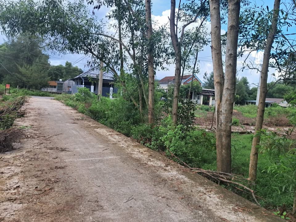 Đất nền Triệu Cơ - 180m² giá chỉ 300 triệu - Cơ hội đầu tư sinh lời cao!