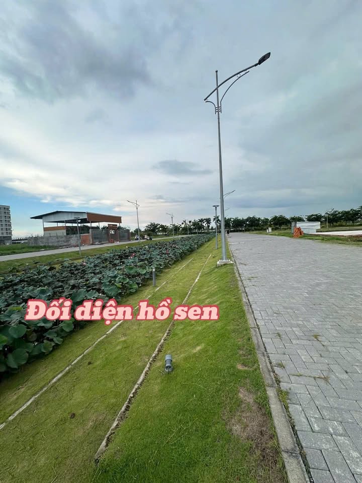 Townhouse biệt thự đơn lập Nam Long 2 Cần Thơ 225m² - Hàng hiếm view hồ sen đẹp!