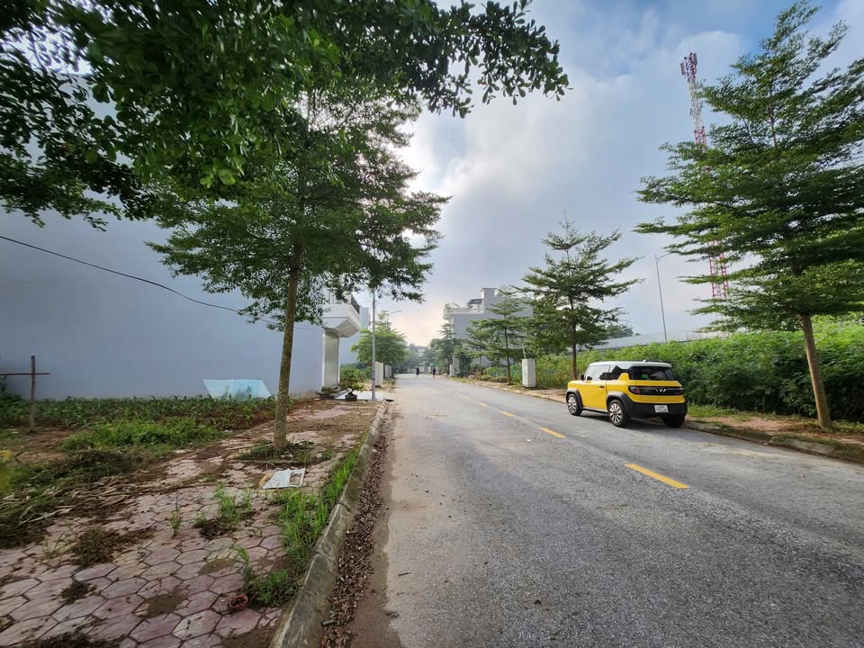 Đất nền mặt đường tại Thanh Miếu, Việt Trì 85m² - Giá chỉ 3 tỷ, chính chủ bán gấp!