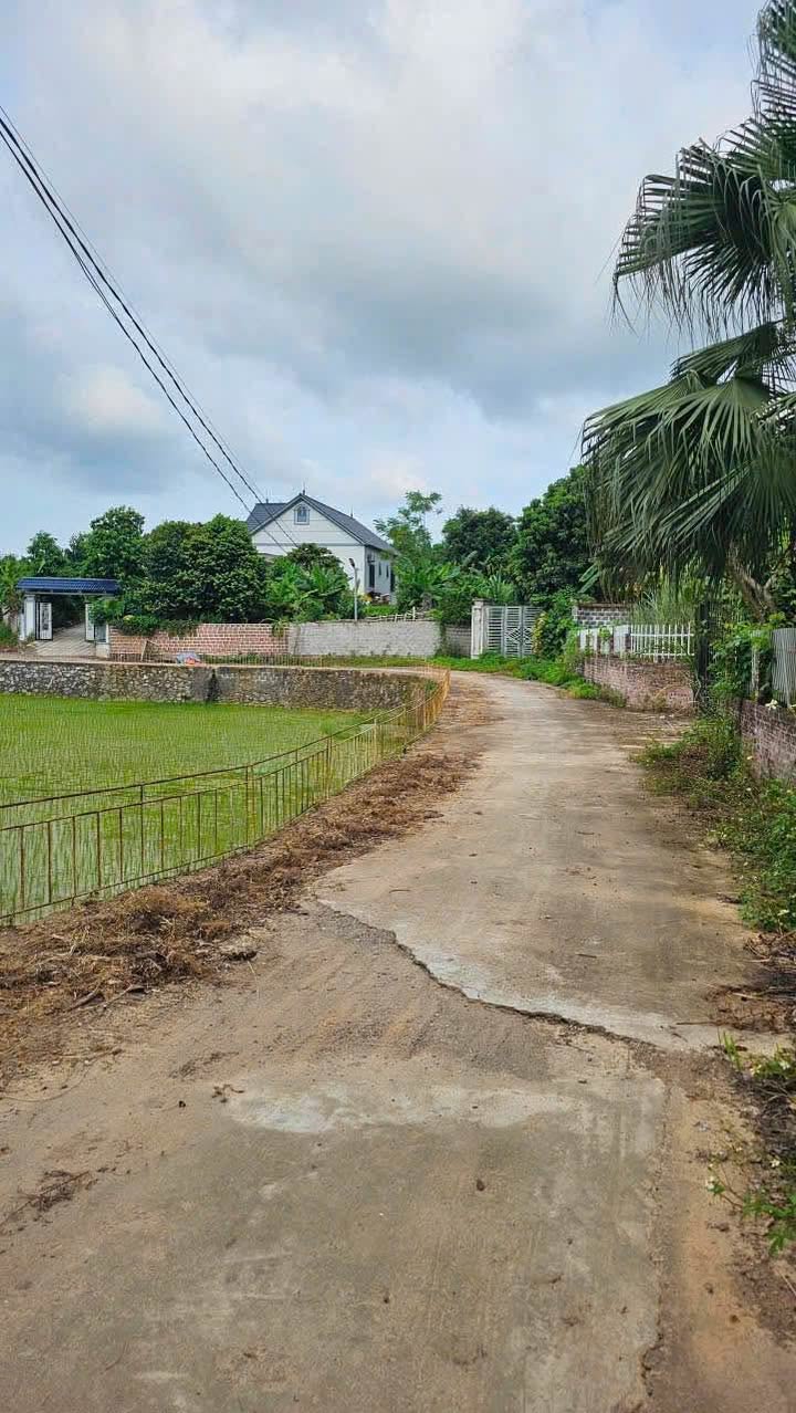 Đất thổ cư 2270m² tại Liên Sơn, Đoan Hùng, Phú Thọ - Thế đất đẹp, đầu tư sinh lời!