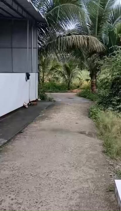 Nhà cho thuê tại Xuân Hòa, Long Khánh - Phòng ngủ riêng, sân vườn thoáng đãng!