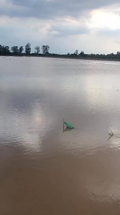 Đất ruộng 20.000m² tại xã Thanh Mỹ, Đồng Tháp - Giá 260 triệu thương lượng