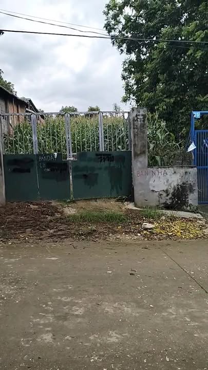 Đất nghỉ dưỡng Suối Hai, Ba Vì 375m² giá 2 tỷ - Sổ hồng chính chủ!