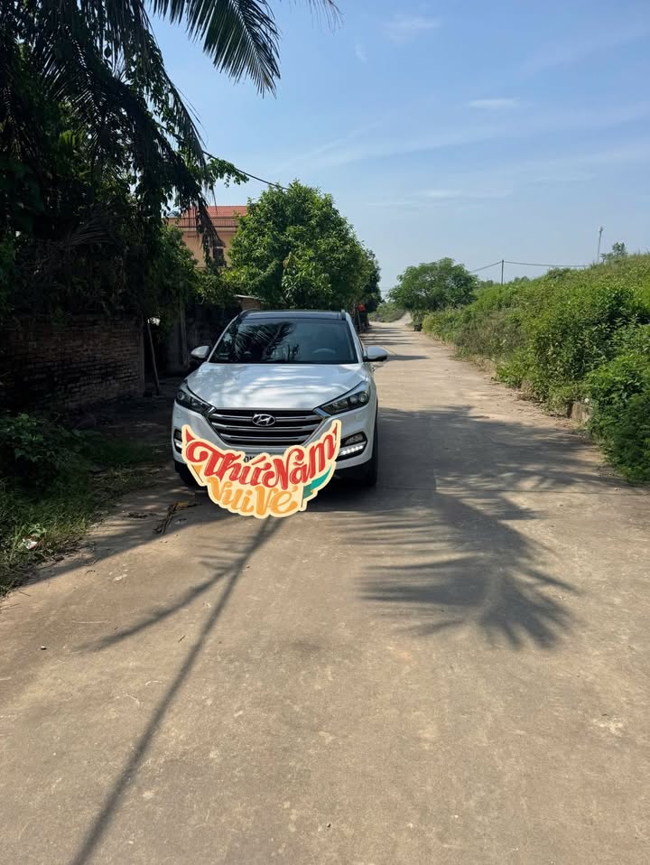 Đất nền xã Đại Lai, Gia Bình, Bắc Ninh 77m² giá 1.9 tỷ - Cơ hội đầu tư sinh lời cao!