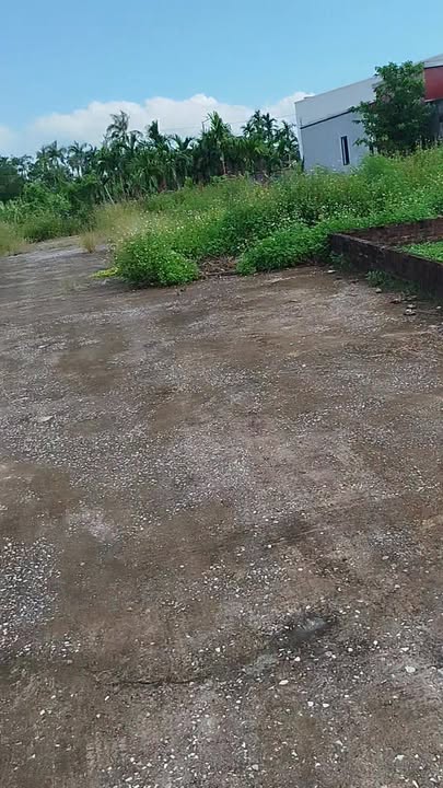 Đất nền Tân Phong Thủy Nguyên 54m² giá chỉ 6x triệu - Sẵn sàng giao dịch ngay!