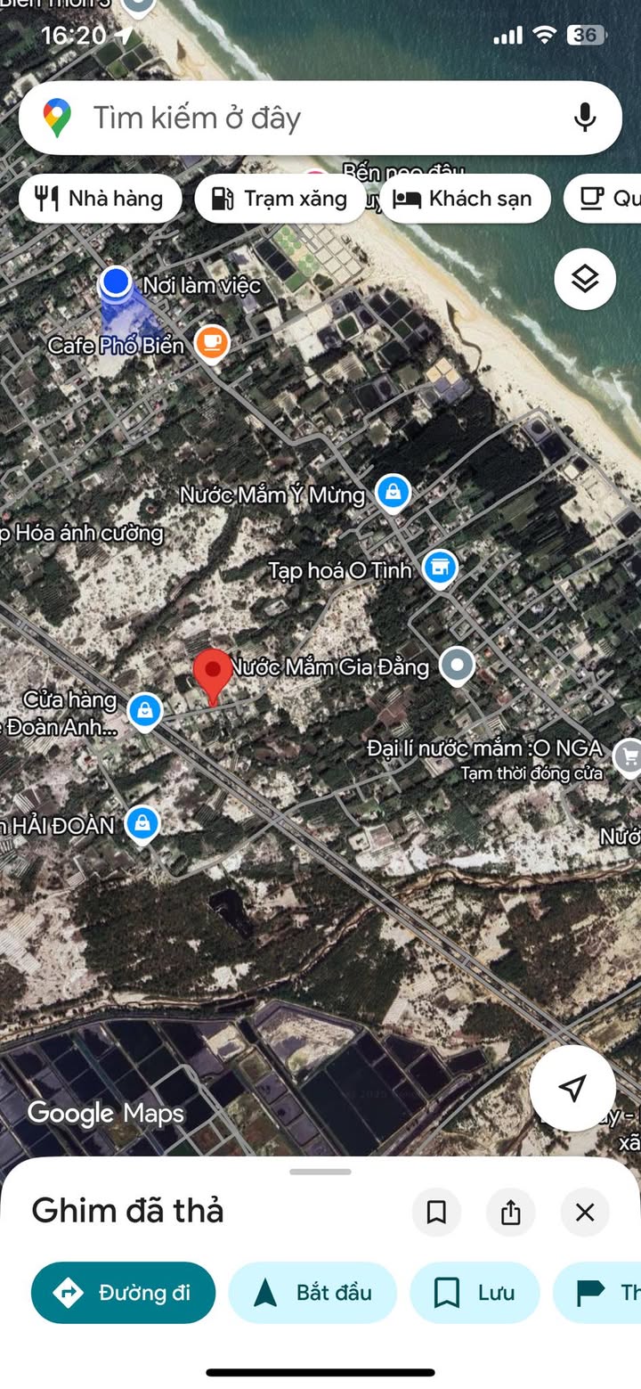 Đất biển Triệu Cơ 1836m² giá thỏa thuận - Cách biển chỉ 200m!