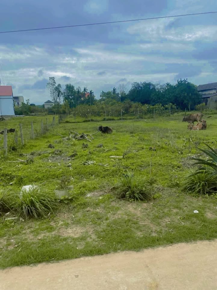 Đất thổ cư Phú Ngạn, Thanh An 108m² giá 400 triệu - Cơ hội đầu tư siêu lợi nhuận!