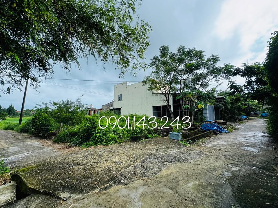 Đất 2 mặt đường bê tông An Phú 150m² giá chỉ 800 triệu - Cơ hội đầu tư tuyệt vời!