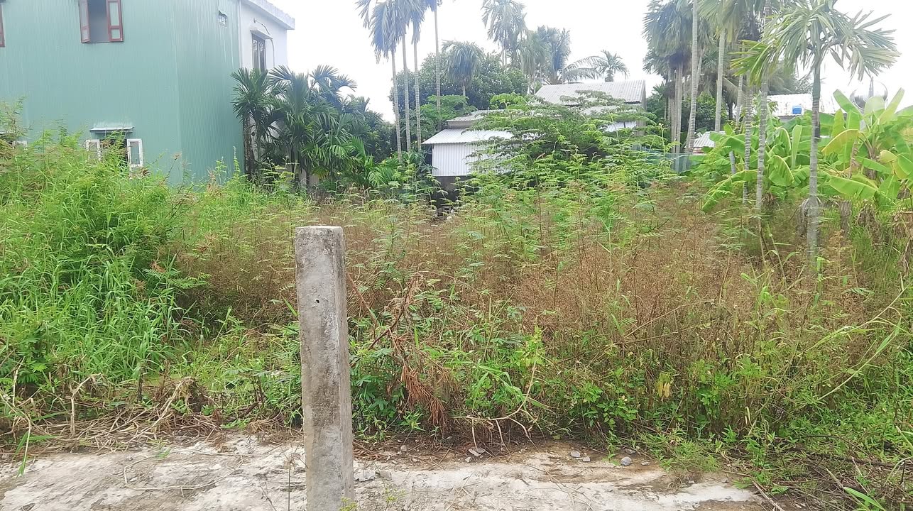 Đất nền thôn Võng Nhi, Cẩm Thanh 78m² giá 1.4 tỷ - Cơ hội đầu tư hiếm có!