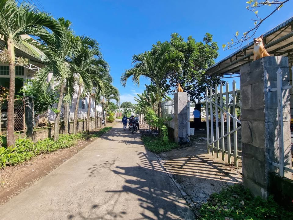 Đất cho thuê 2600m² tại Thọ Lâm - Nhà cấp 4 rộng rãi, giá chỉ 3,5 triệu!