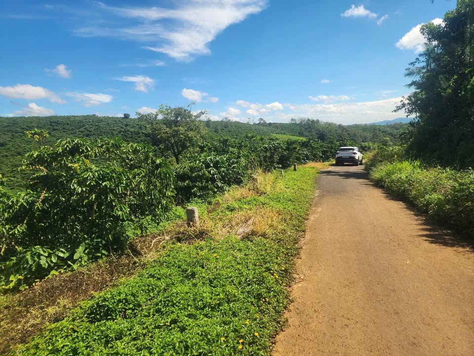 Đất nền Phường 1 Bảo Lộc 1600m² giá chỉ 1.25 tỷ - Cơ hội đầu tư tuyệt vời!