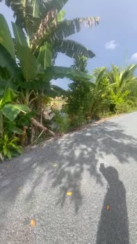 Đất nền xã Phú An, Cai Lậy 218m² giá 690 triệu - Sổ hồng chính chủ, xây dựng tự do!