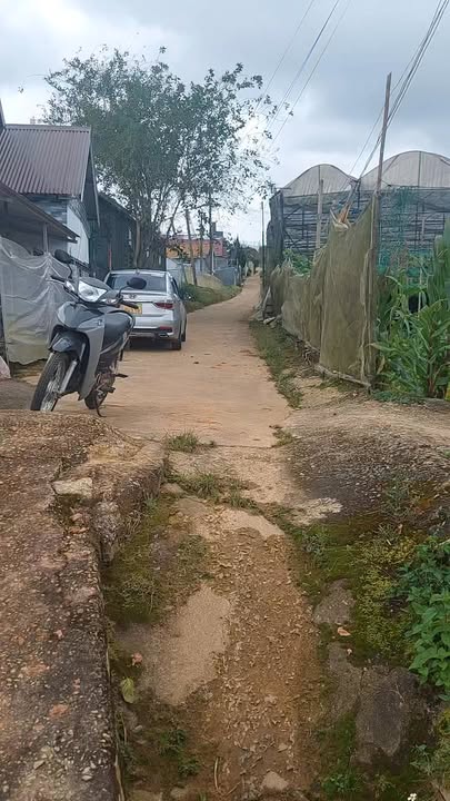 Đất nông nghiệp 1500m² Nam Hồ Đà Lạt - Sổ đỏ chính chủ, giá 9 tỷ!