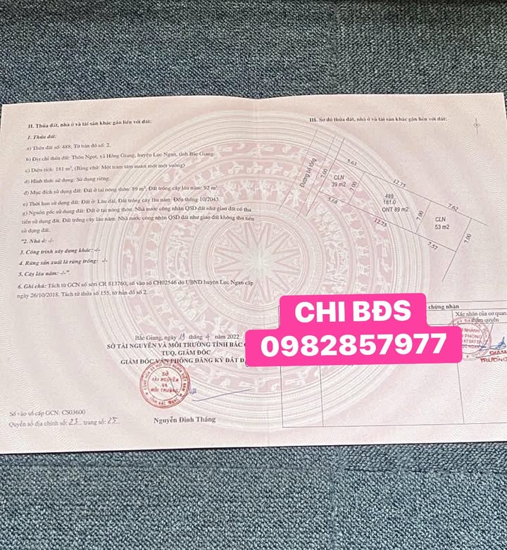 Đất nền 181m² tại TDP Ngọt, Hồng Giang, Bắc Ninh - Giá tốt, sổ hồng sẵn!