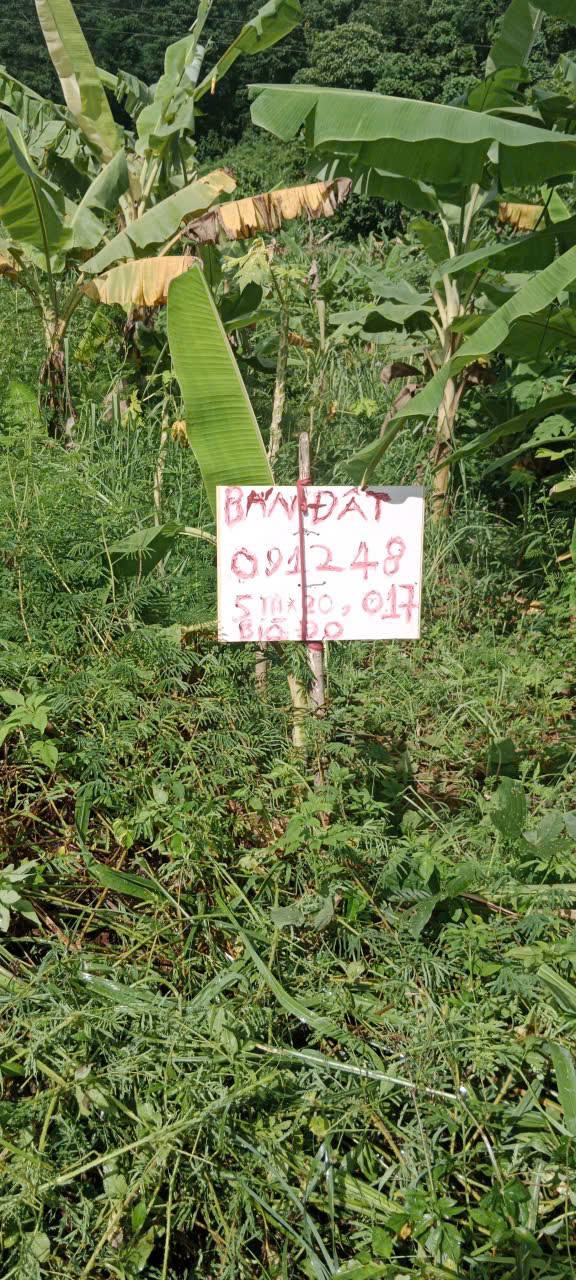 Đất ở đô thị mặt đường đôi xã Phương Thiện Hà Giang 100m² giá 2.5 tỷ - Sổ đỏ chính chủ