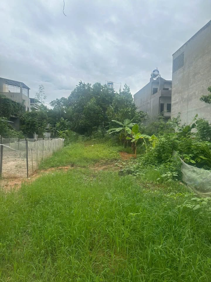 Bán đất thổ cư Kim Phú Tuyên Quang 120m² - Đường ôtô rộng rãi, khu dân cư đông đúc!