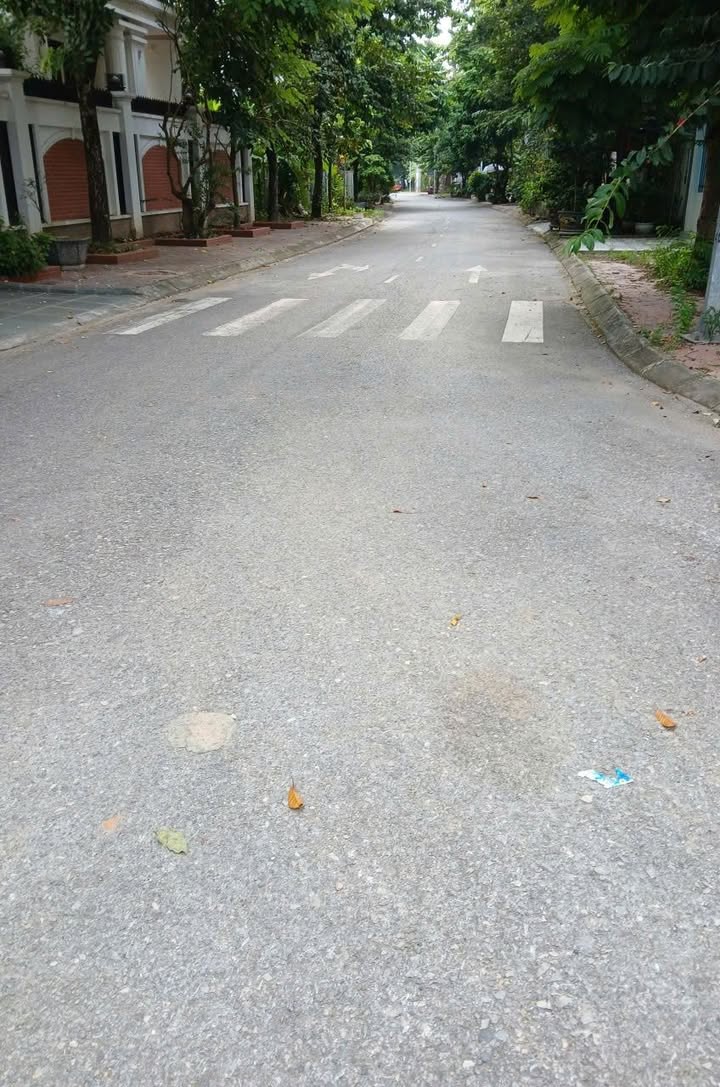 Đất chính chủ 94m² tại trung tâm Việt Trì - Đầu tư sinh lời ngay!