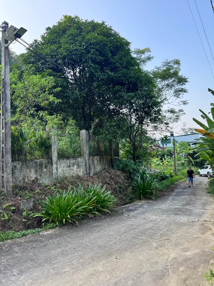 Đất nền 80m² tại Nguyễn Trãi, Hà Giang chỉ 900 triệu - Sở hữu ngay vị trí đẹp!