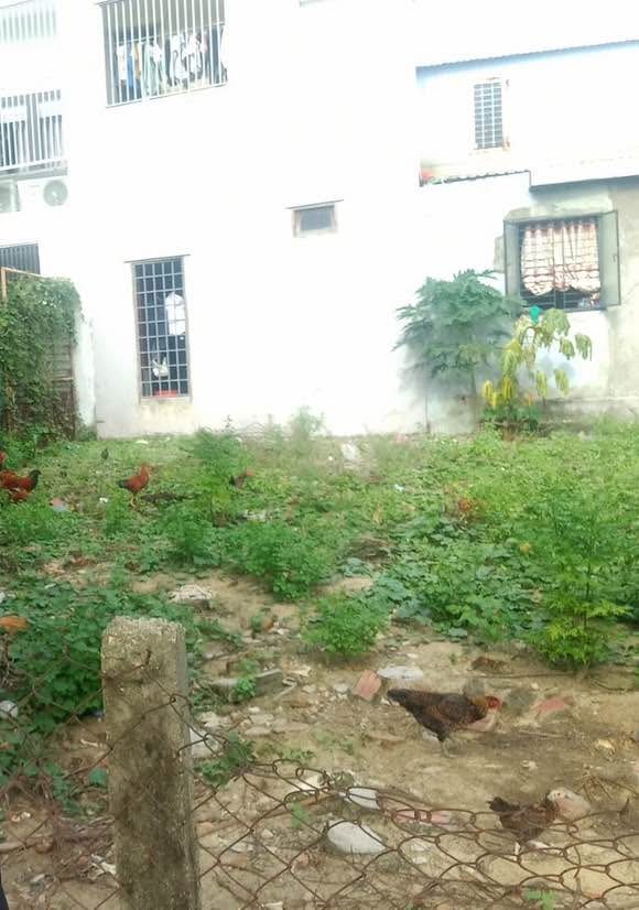 Lô đất 81m² tại Khải Tây 1, Hòa Quý, Đà Nẵng - Sổ hồng chính chủ, giá thỏa thuận!