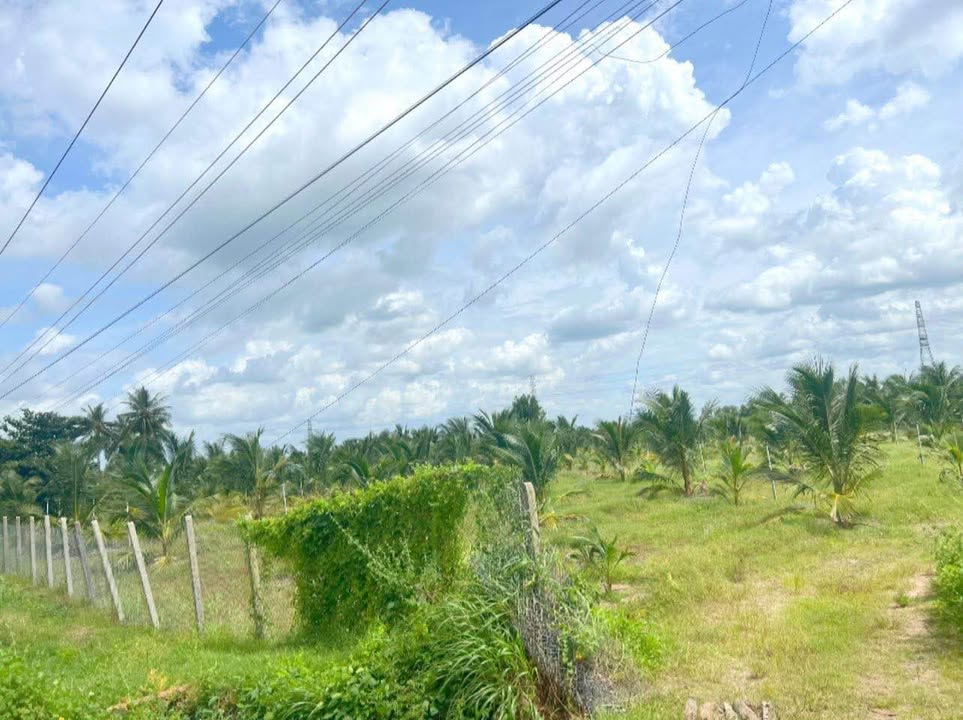 Đất 2 mặt tiền đường Trần Văn Trà, Tây Ninh 1696m² giá 7.5 tỷ - Pháp lý rõ ràng, thích hợp đầu tư!