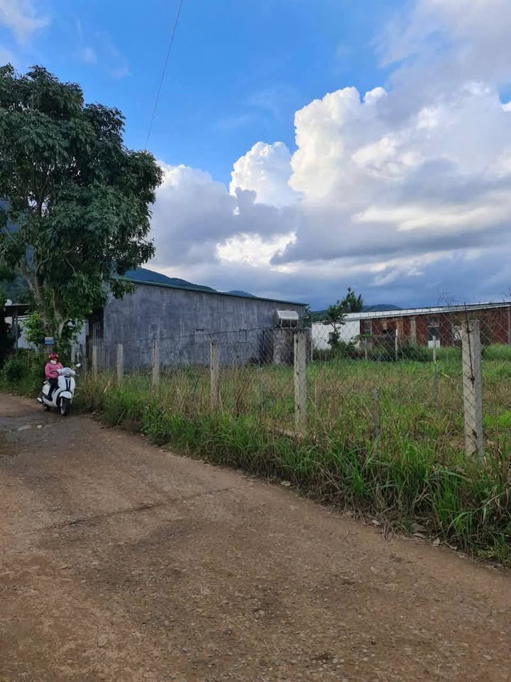 Đất thổ cư Định An 85m² giá 990 triệu - Sổ riêng, gần cao tốc!