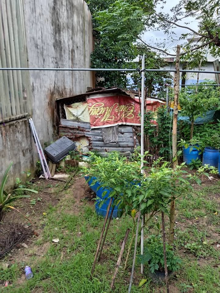 Đất nền 100m² kiệt Nguyễn Như Đãi, Đà Nẵng - Giá chỉ 2 tỷ, cơ hội không thể bỏ lỡ!