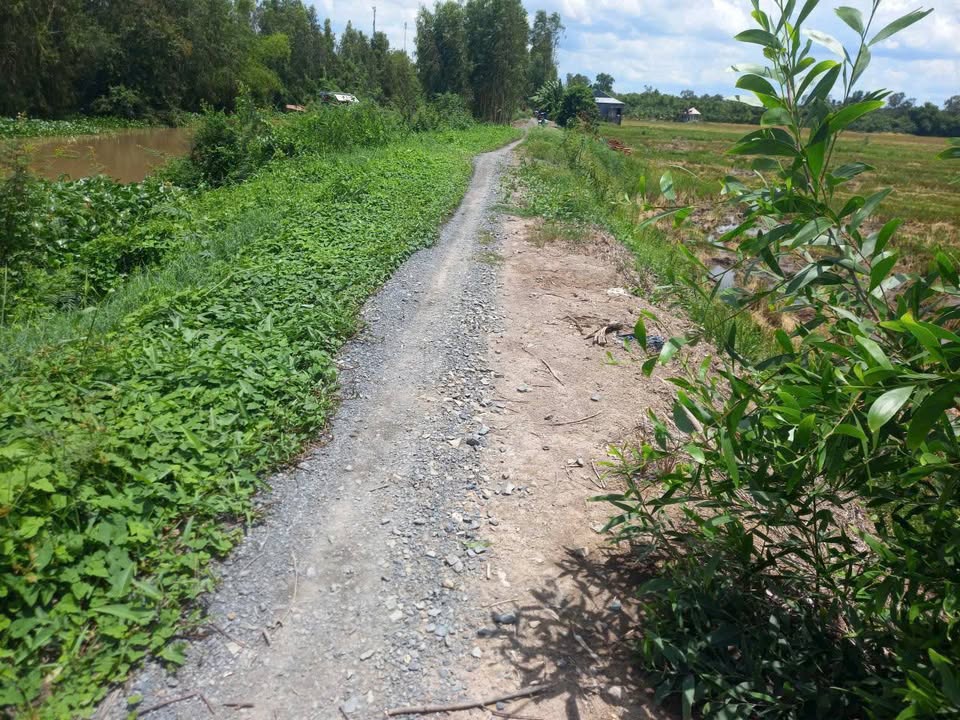 Đất Nền Xã Phong Mỹ, Huyện Cao Lãnh 3481m² - Giá Chỉ 670 Triệu, Đầu Tư Sinh Lời!